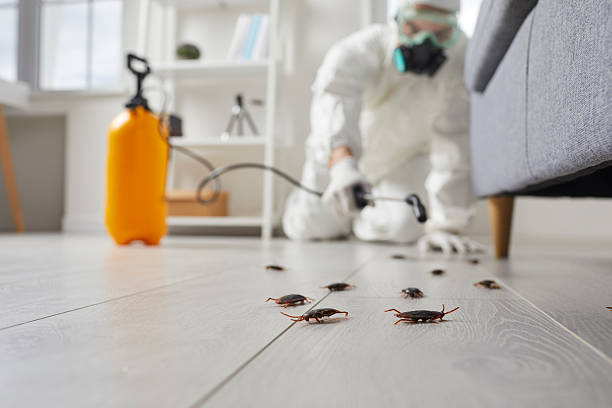 Commercial Kitchen Cockroach Control in Anderson Island